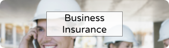 Business Insurance Image