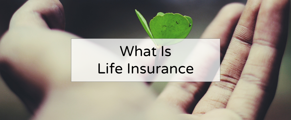 Life Insurance